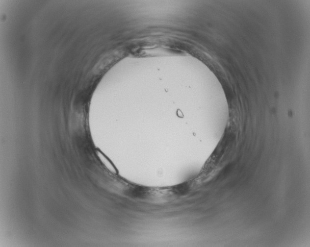 X0000077280333200611171608