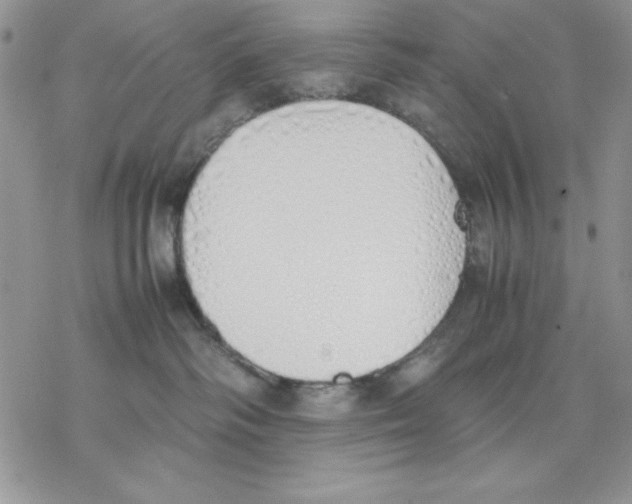 X0000077280334200611171608