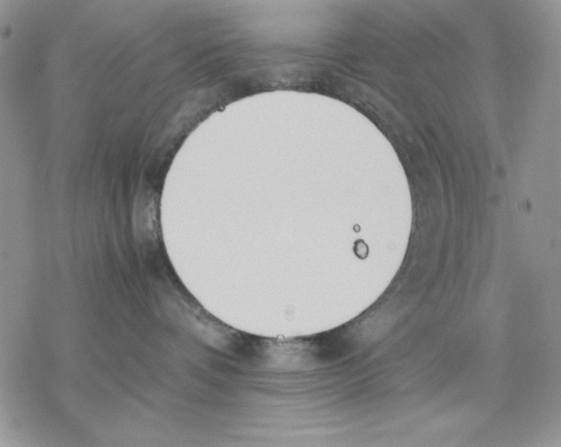 X0000077280336200611171608