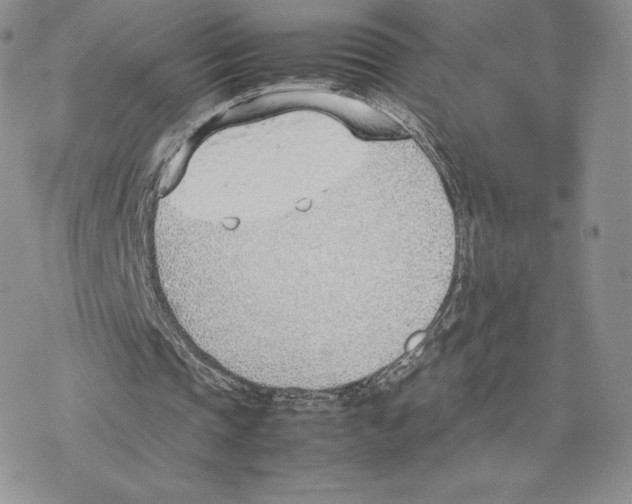 X0000077280337200611171607