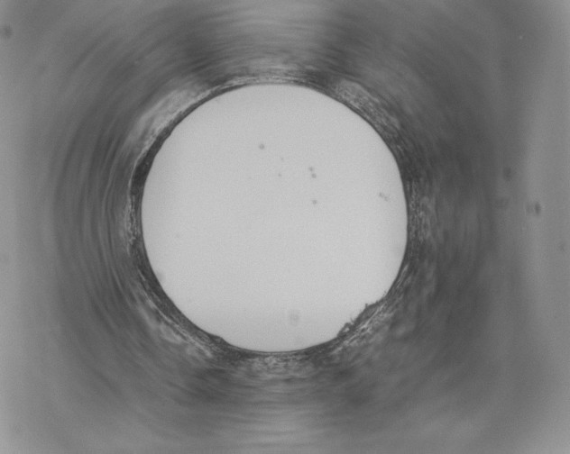 X0000077280338200611171607