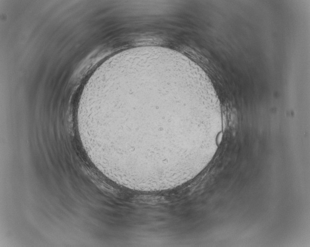 X0000077280339200611171607