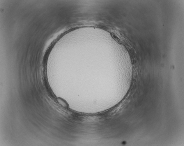 X0000077280342200611171607