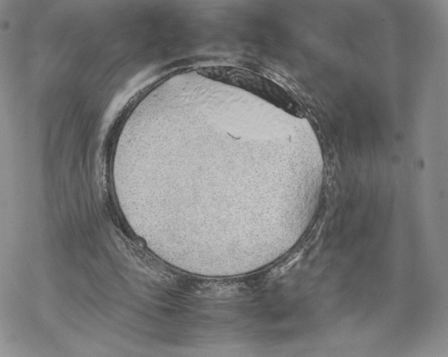 X0000077280343200611171608