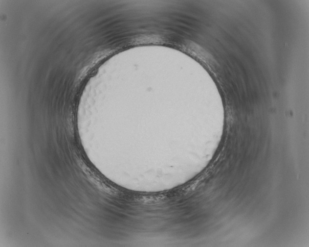 X0000077280345200611171608