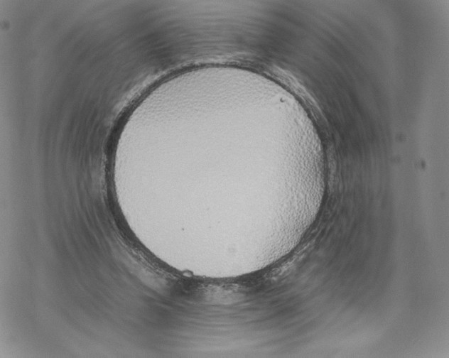 X0000077280346200611171608