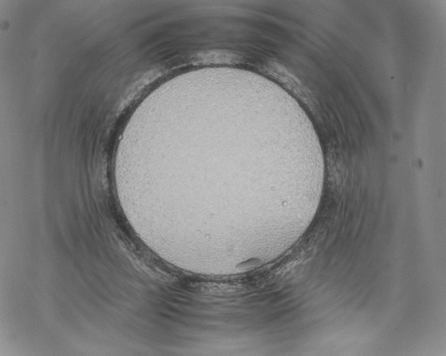 X0000077280347200611171608