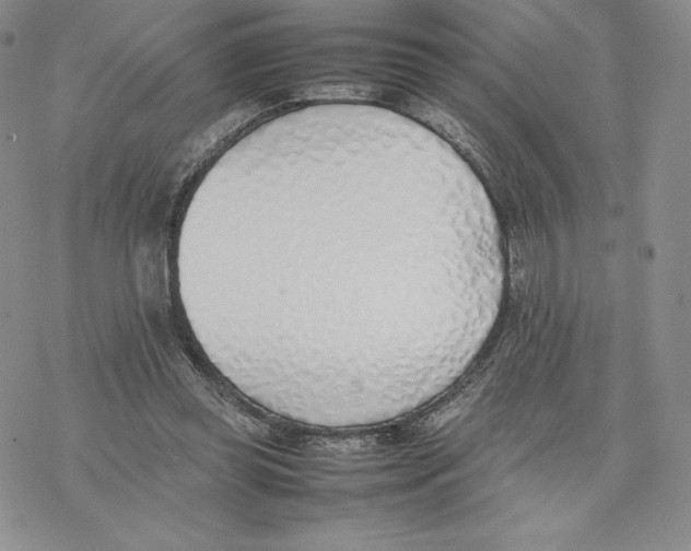 X0000077280349200611171608