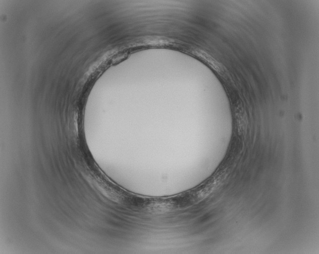 X0000077280350200611171608