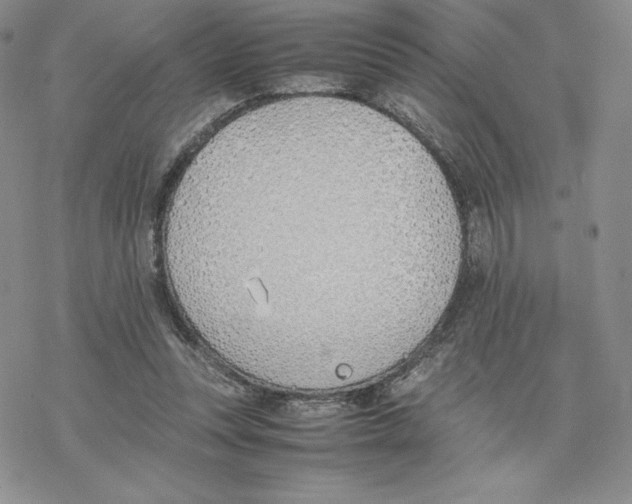 X0000077280351200611171608