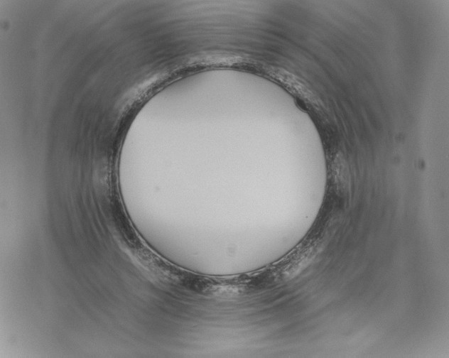 X0000077280352200611171608