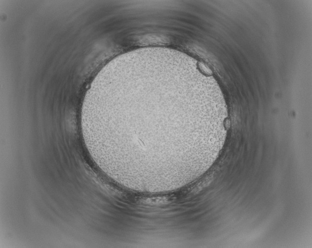 X0000077280353200611171608