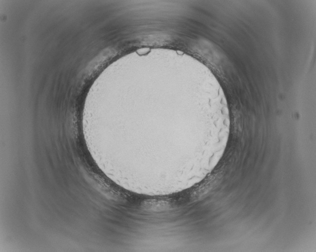 X0000077280354200611171608