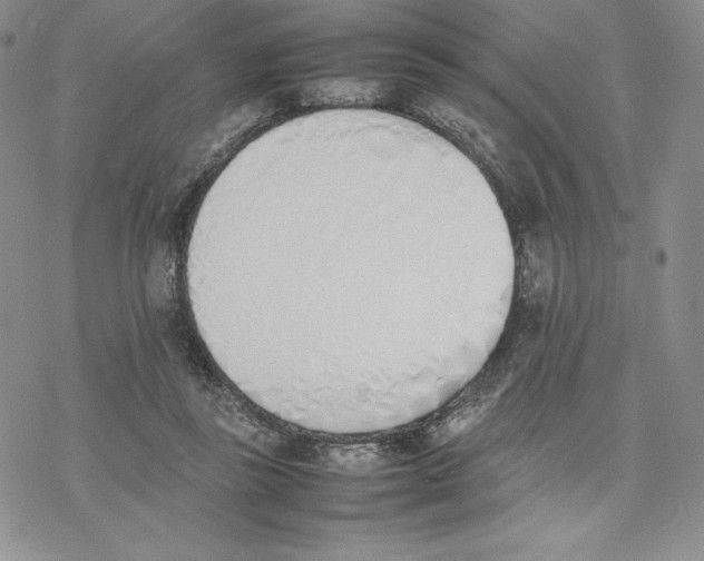 X0000077280355200611171608