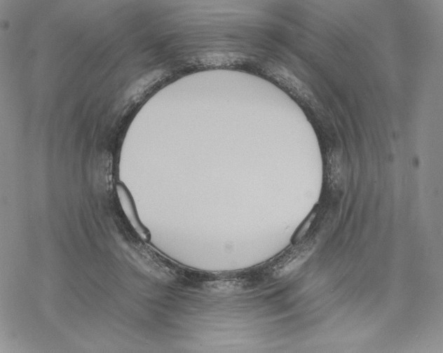 X0000077280356200611171608