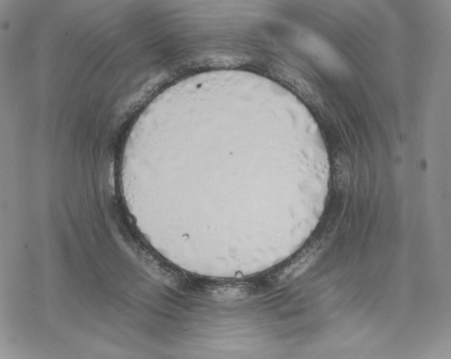 X0000077280358200611171608