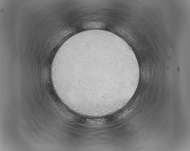 X0000077280359200611171608