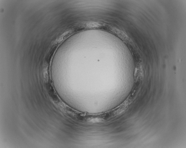 X0000077280360200611171608