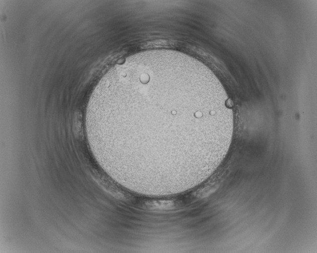 X0000077280361200611171608