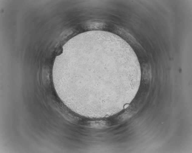 X0000077280363200611171608