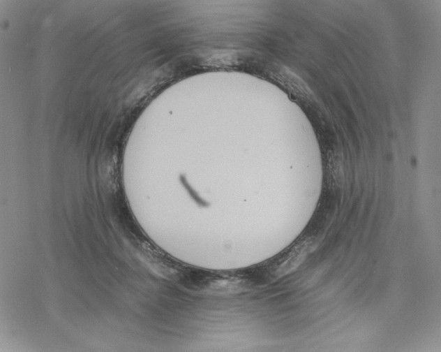 X0000077280364200611171608