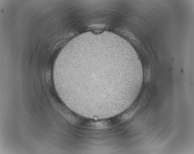 X0000077280365200611171608