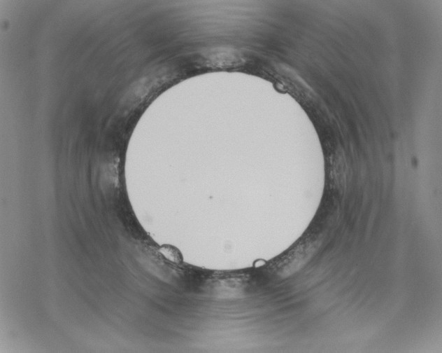 X0000077280368200611171608