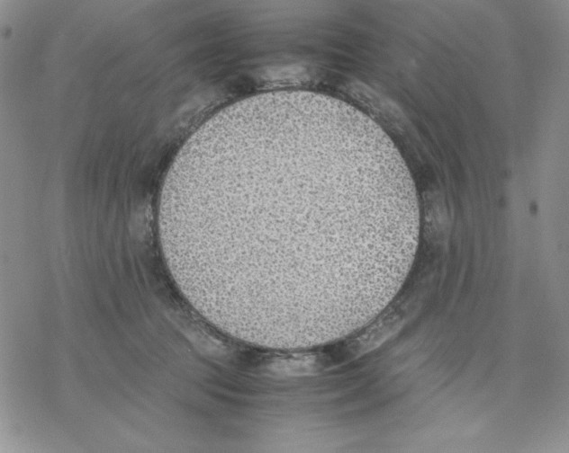 X0000077280369200611171608