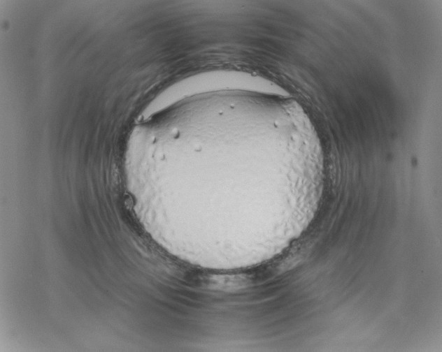 X0000077280371200611171608