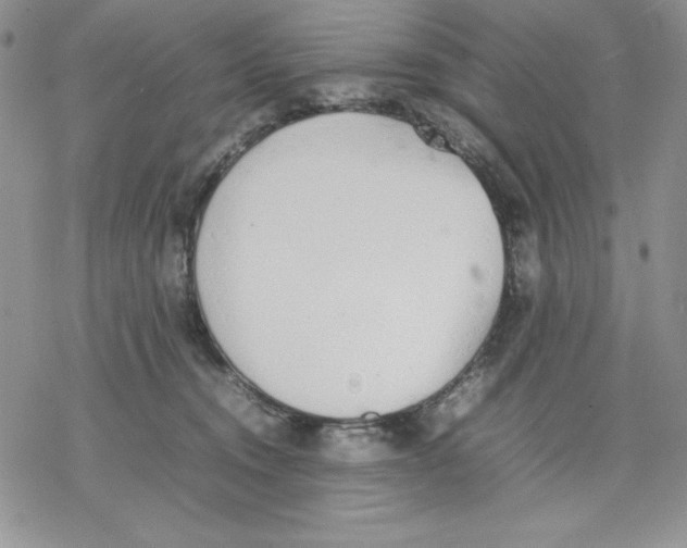 X0000077280372200611171608