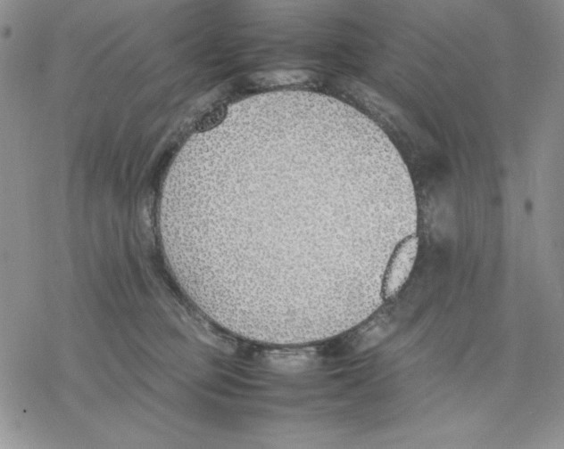 X0000077280373200611171608