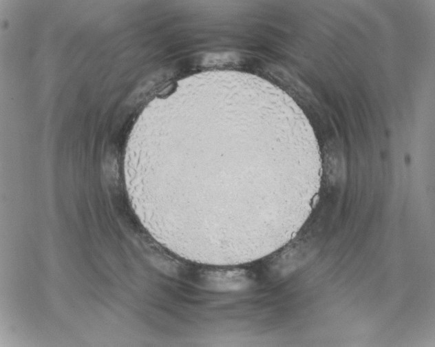 X0000077280375200611171608