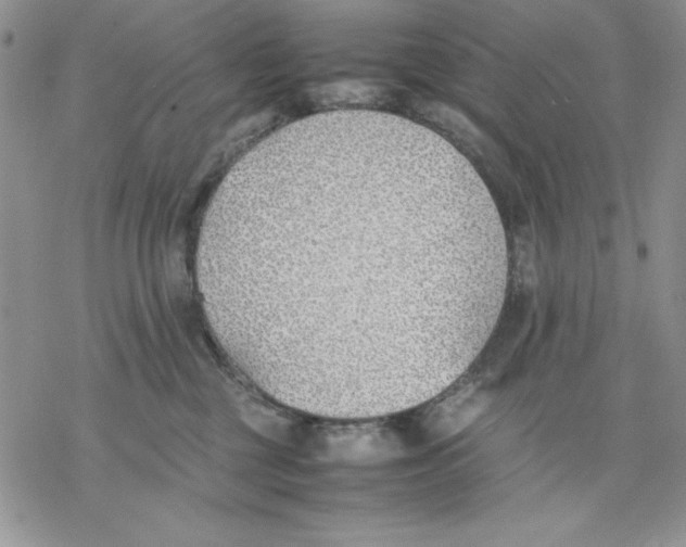 X0000077280377200611171608