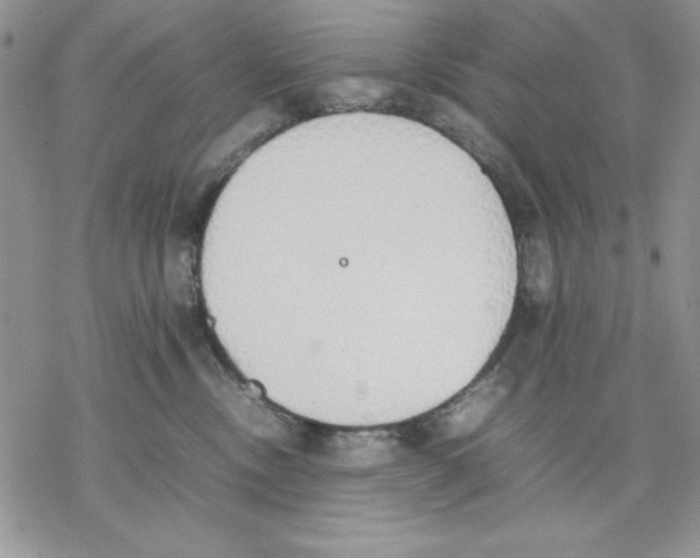 X0000077280378200611171608