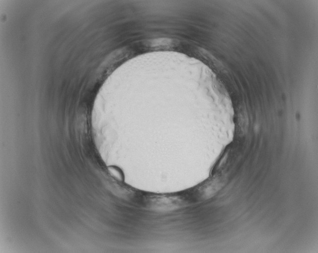 X0000077280379200611171608