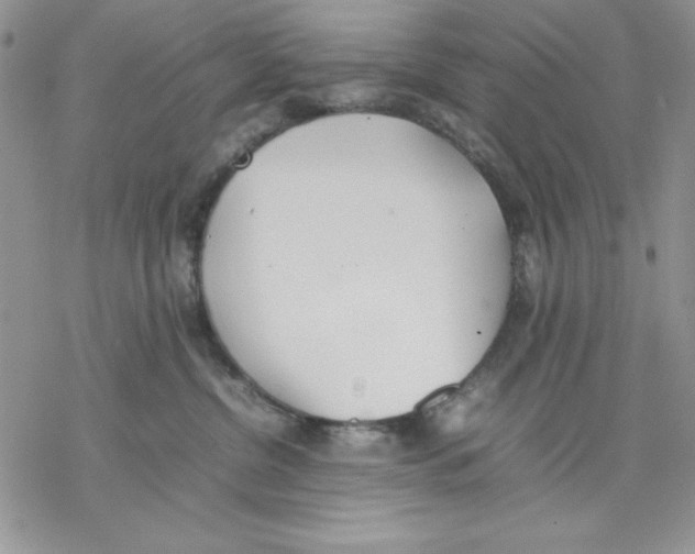 X0000077280380200611171608