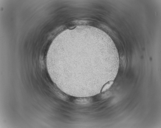 X0000077280381200611171608