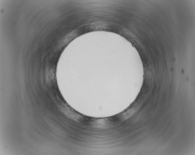 X0000077280382200611171608