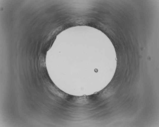 X0000077280384200611171608