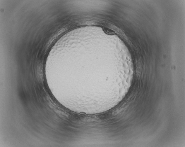 X0000077280386200611171607