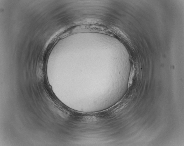 X0000077280392200611171607