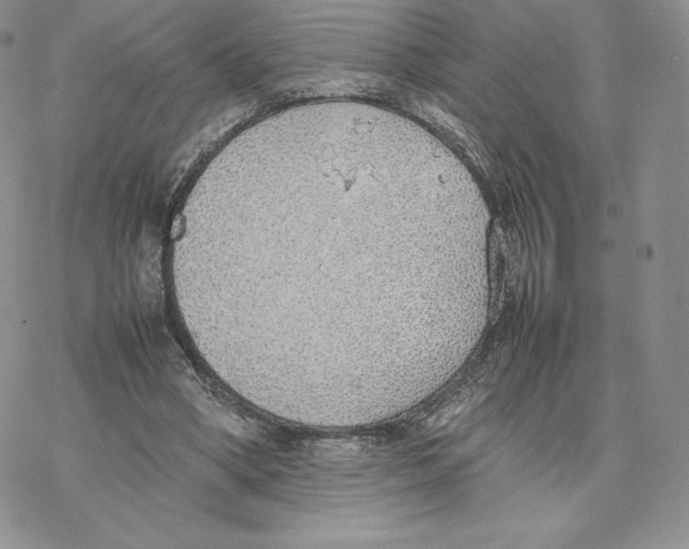 X0000077280394200611171607