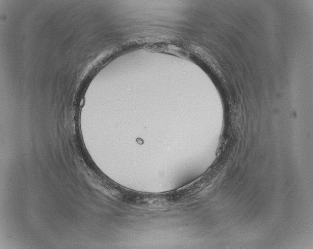 X0000077280395200611171607