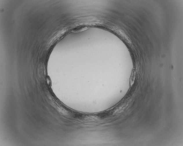 X0000077280397200611171607