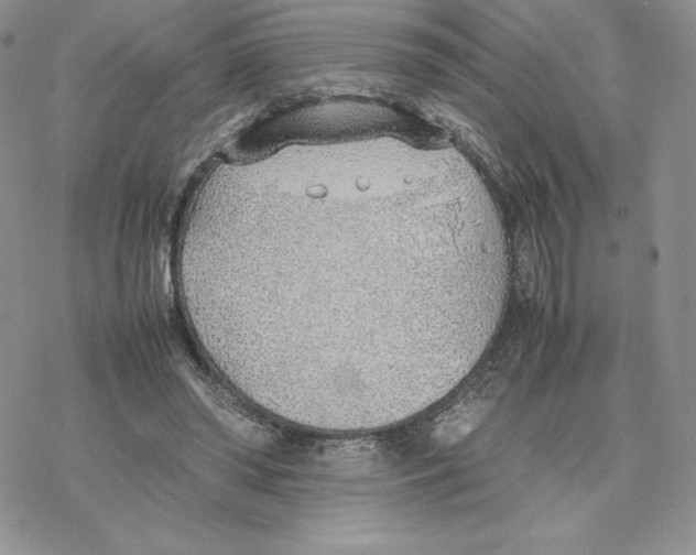 X0000077280398200611171607