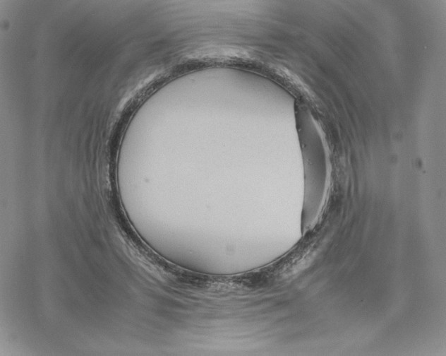 X0000077280399200611171607