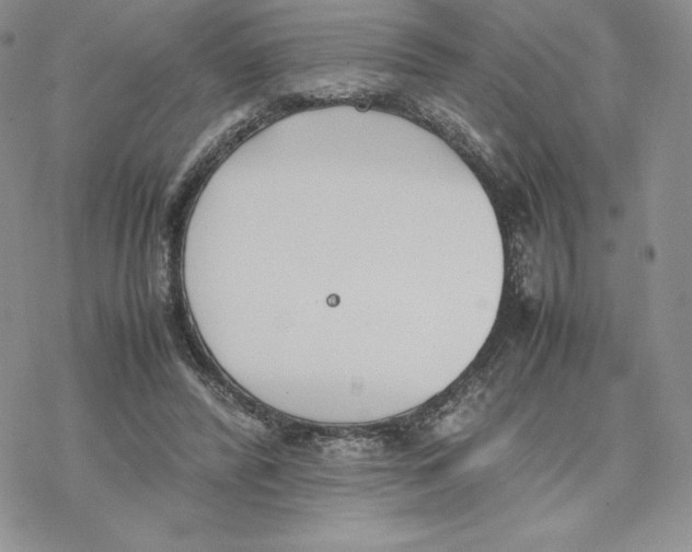 X0000077280400200611171607