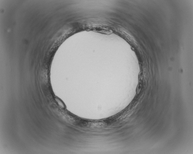 X0000077280401200611171607