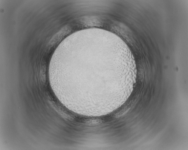 X0000077280402200611171607