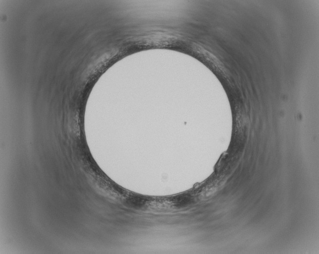 X0000077280403200611171607